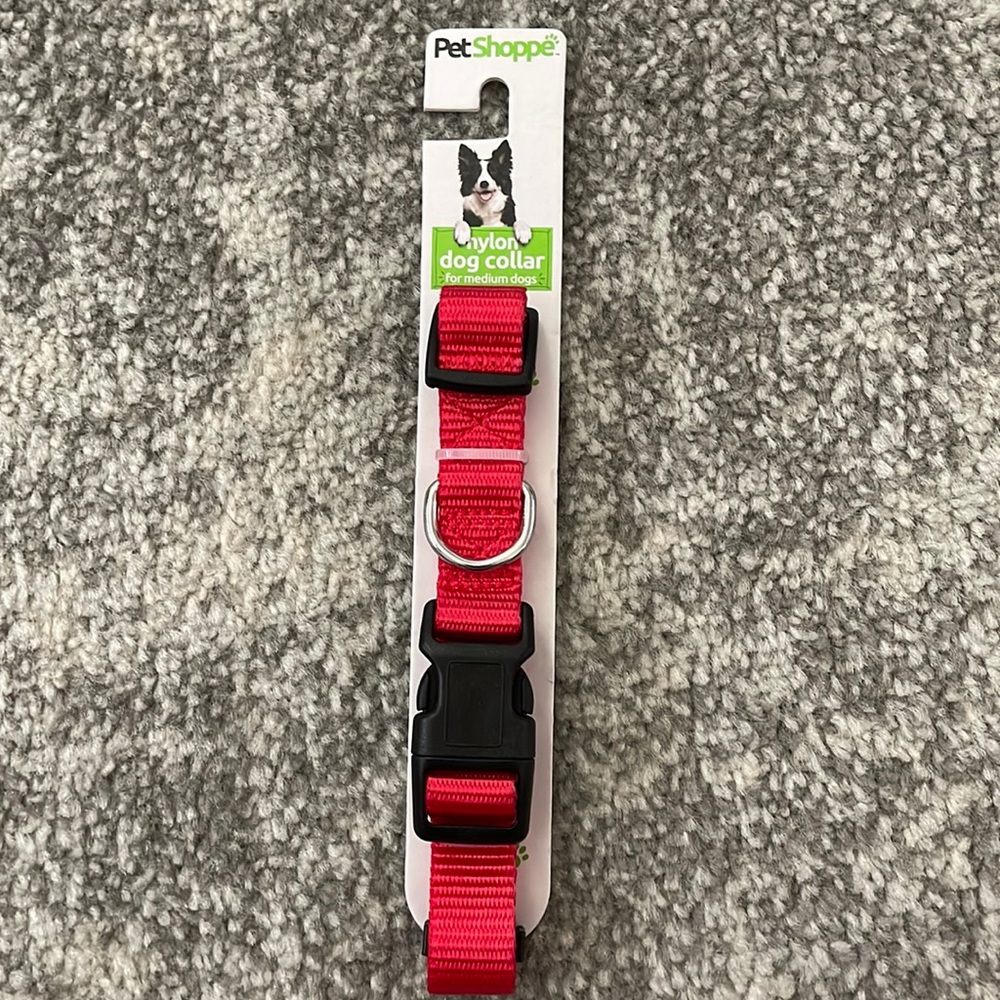 Medium Dog collar